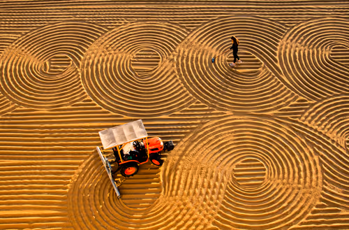 Item #42828787403688082528687278745657773654335915258960330025732856583881991651329 Media