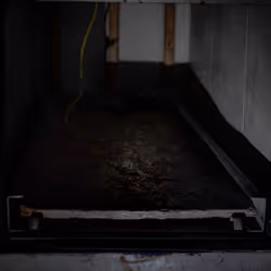 82183435787039742687817407369025087190302189840279601090903984559441468981249