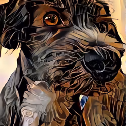 Picasso pup