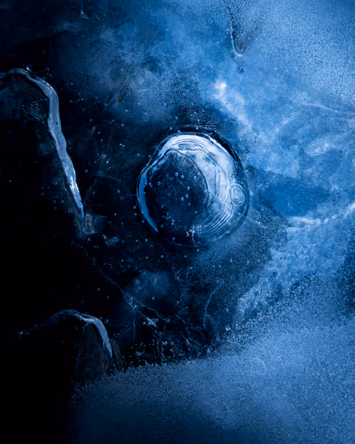 Item #92025450797269199699519638407999947828010124563072321716364901897951072223233 Media