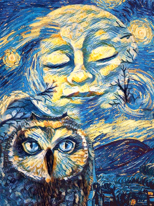 Item #37392771714080896368983378971328535306855470059313378604455525013194922786817 Media