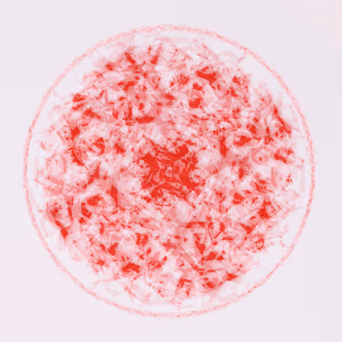 Item #56973419019861600765457047389383188289079904378367063993006434901756192227329 Media