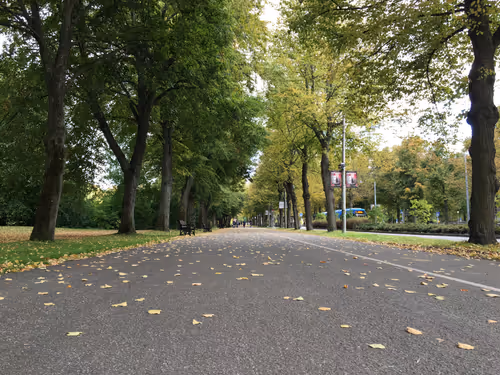 Item #105335933131872880516626061464876793323512581126524064539939514967114207199233 Media