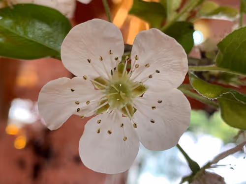 Item #9219050150944409377619180316701258752688903686194552541810005491924978368513 Media