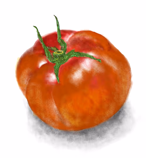 Item #97333785944323683725766169075053539191721722500418762111142792033753326682113 Media