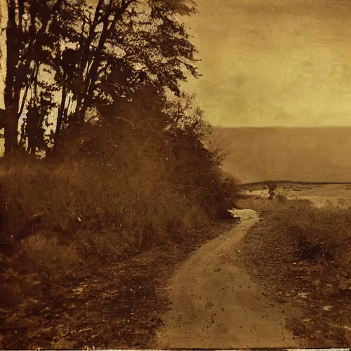 Item #83280107070391697529376828382192850557060699628127089263691584836575892078593 Media