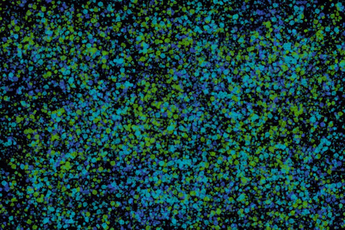 Item #944858660688572096584618472555991747686703840338442188877309833656966053889 Media