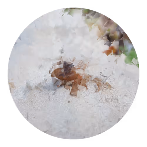 Item #73474911565276893363269127585336255498112534630235322163062143074353148854273 Media