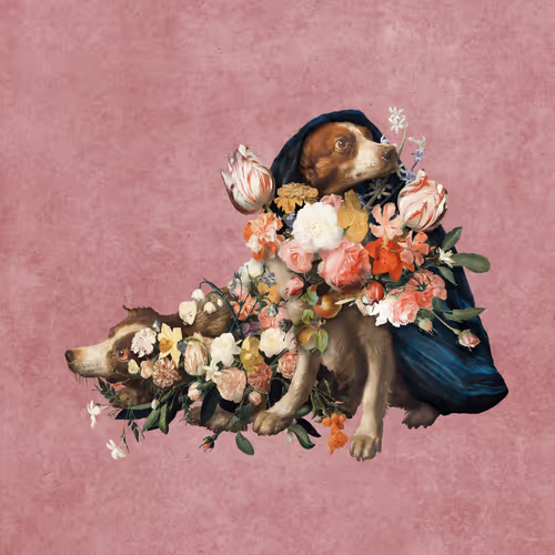 Item #19059656102330521028979974538211481296482323844077477318954795425846832136193 Media