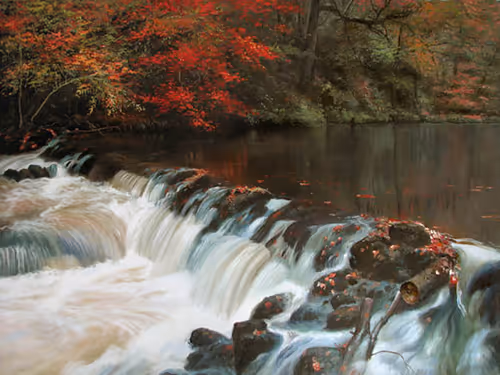 Item #61555846645702713153850698909334883710701219007206267965147139934120451244033 Media