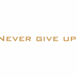 NEVER GIVE UP.