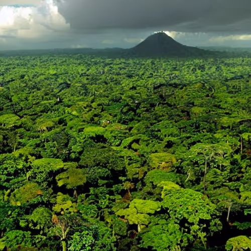 AMAZON REGION REDD+ PROJECTS