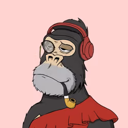 Chilled Kong #1511