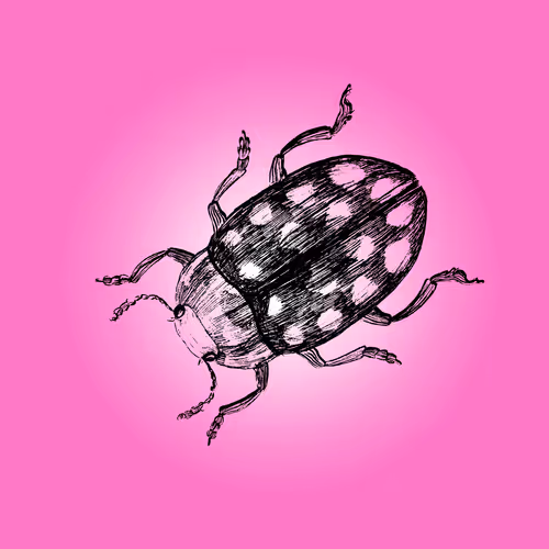 79067907305230177002014129353343413869651970885450883453575323020859780628481