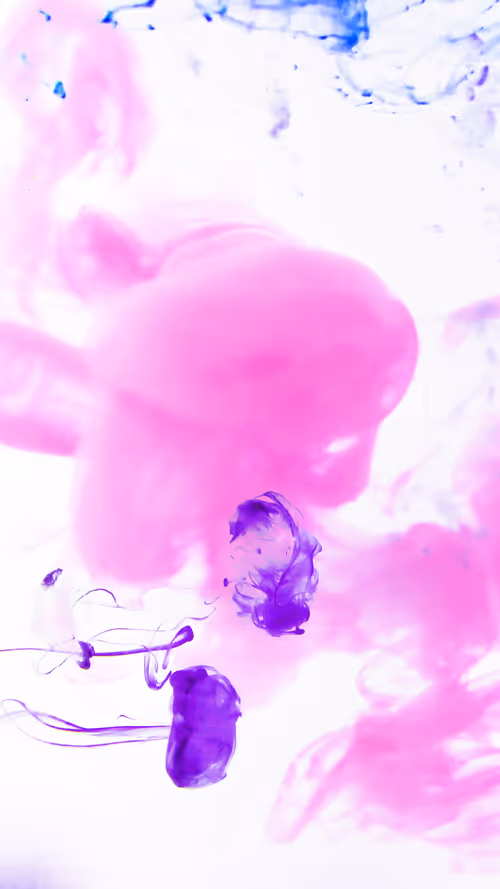 Item #31305712980941030161867633175304117506253559023819364015858336239297440514049 Media