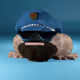 84032260799543238492957195235139392544496276271024413885840655375604752842753