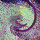 22366805297831155663353087203473077849305736683302175935851568210596688035841