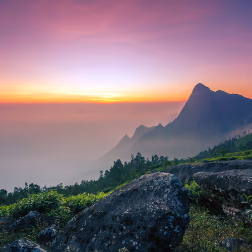 Hues of Kolukkumalai : HOK-008