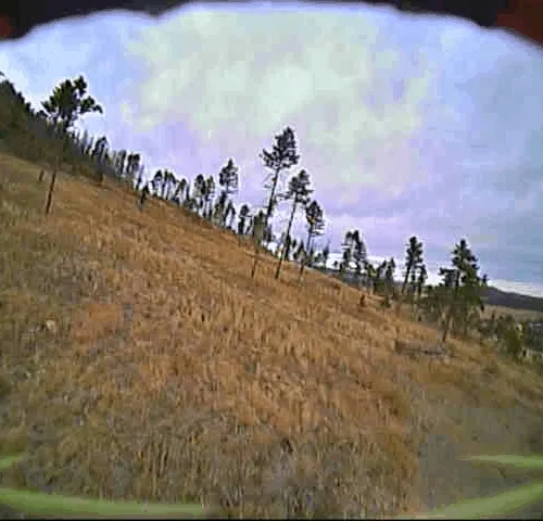 Hillside