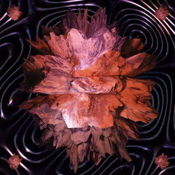 70655409647296023505339344133926088984781406258874857677002406260898195832833