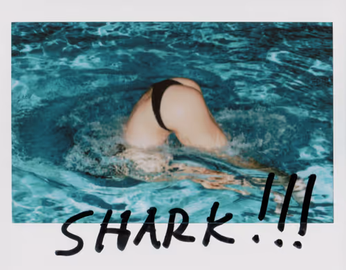 Item #8675165993673311167133932522460401919325379274043569756846793165951750635521 Media