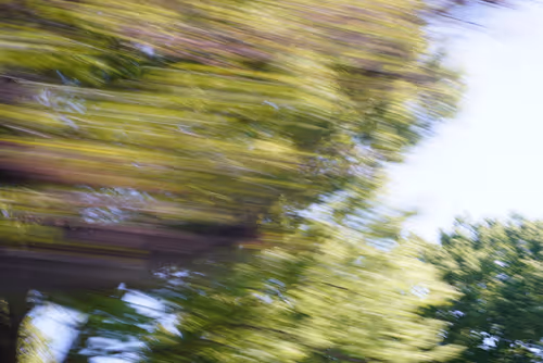 Item #70208692216166007409551313352686246739486859339551746312653787881889438105601 Media