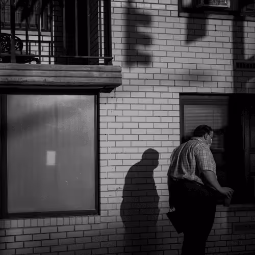 Item #95180823985921951675117516148584107419785391307564993854424267486649265422337 Media