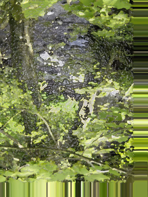 Item #108090653170621964456645493728269851346896231222605963189308647624197846073345 Media