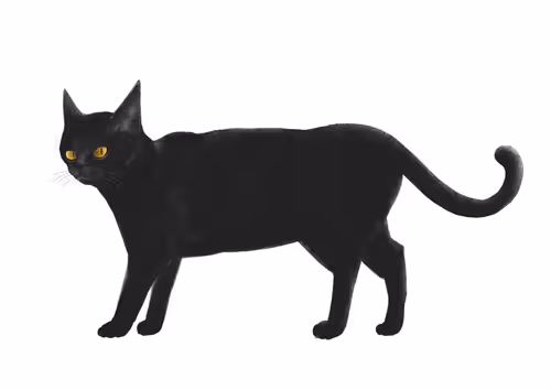 Item #82695799108276642583323751934613913274690371258081772662869305542090829070341 Media