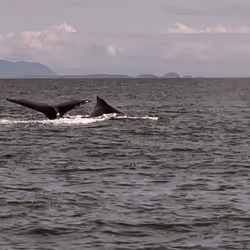 33261409280827848890636833313665954217119010705453802455397167662395962687492