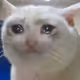 Fragments Of Infinite Pain Reloaded