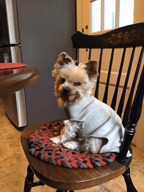 Item #79160273997787957836154565878224024328872719786714255845784138778496202702849 Media