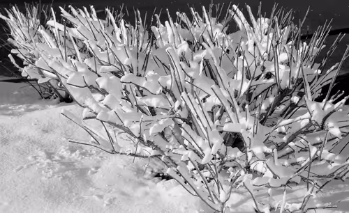 Item #60286361363657250857601775030637471218171117852543341295073304011851985584129 Media