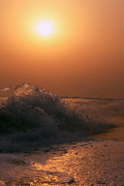 Item #15857799475399119701847183693940260890701179784496553029705357668184095719425 Media