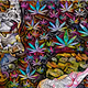 Psychedelic Dream Girls