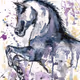 Animal Art by Artsarity