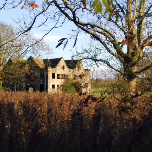 Item #71646257518770613568983710813551014237803002136866425209291834223106656829441 Media