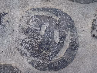 Item #87686282322967183244076338066832455617509435321779112362539440433146999341057 Media