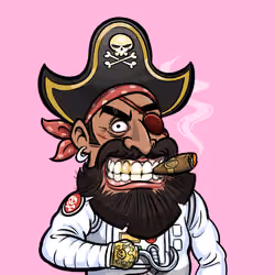 PTBC Pirate #9210
