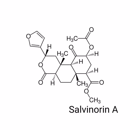 Item #64732396481221425237779336604136247156647002150051219445300180829339060797441 Media