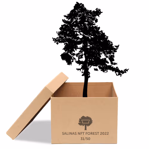 Item #63532776318757439562276927313719991273687356279339277108967620975024349904897 Media