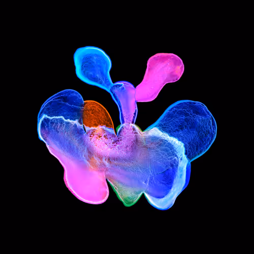 Item #21241348295233725123048088412056156901328443234644052459911106385448016019457 Media