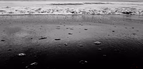 Item #20976301758881134831989222665278936219784108903075361536191037512846671872001 Media