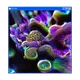 GIF.EXE #50