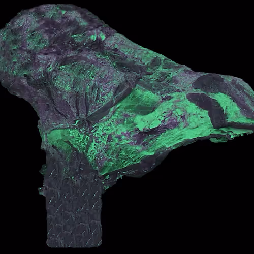 18063966590187803564983313972252836895288362682890717819958697141702789955585