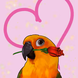 Crypto Conure #019