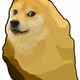 DogecoinRock