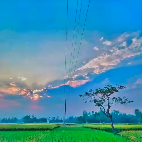 Untitled Collection #133318839