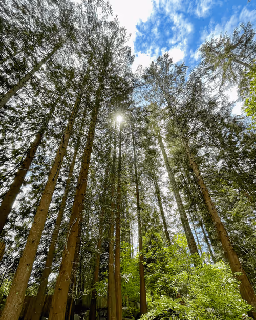 Item #60286361363657250857601775030637471218171117852543341295073304044837334417409 Media