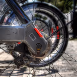 Bizi Wheel